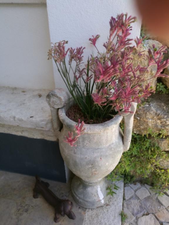 Arrabida Heritage @Portugal Luxury Retreat Guest House Azeitao Eksteriør bilde